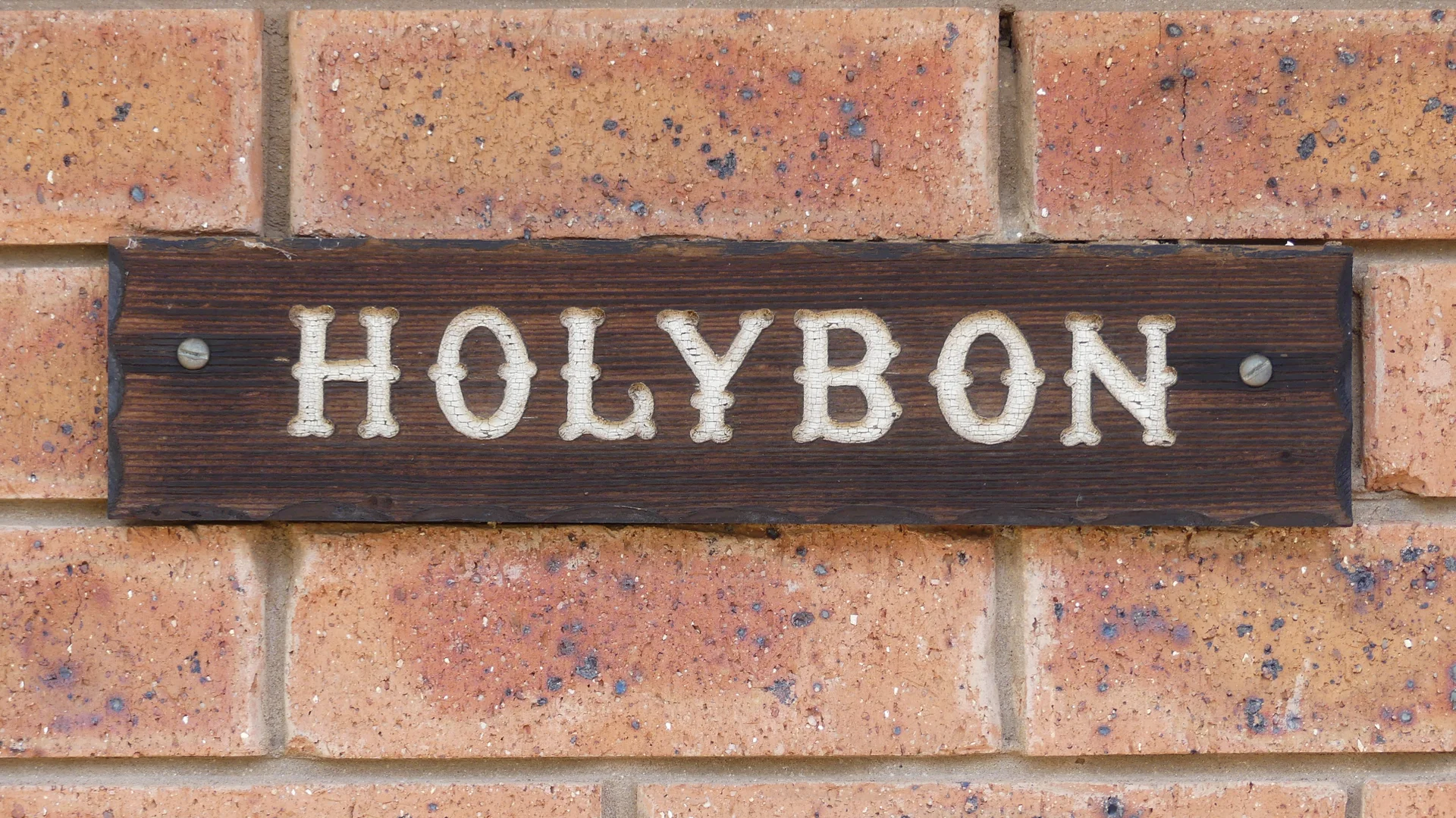 Image 15