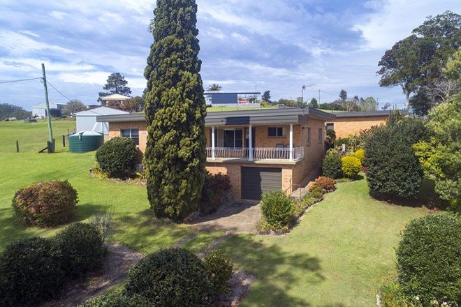Picture of 17 Albert Drive, DONNELLYVILLE NSW 2447