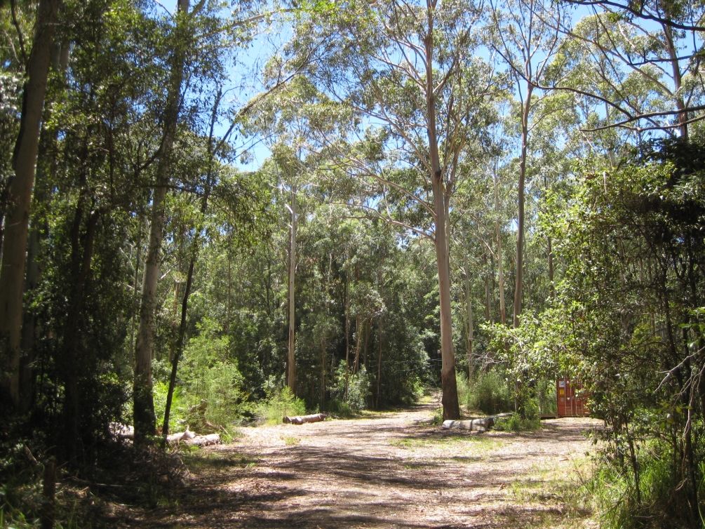 118 Tarbuck Park Road, Tarbuck Bay NSW 2428, Image 2