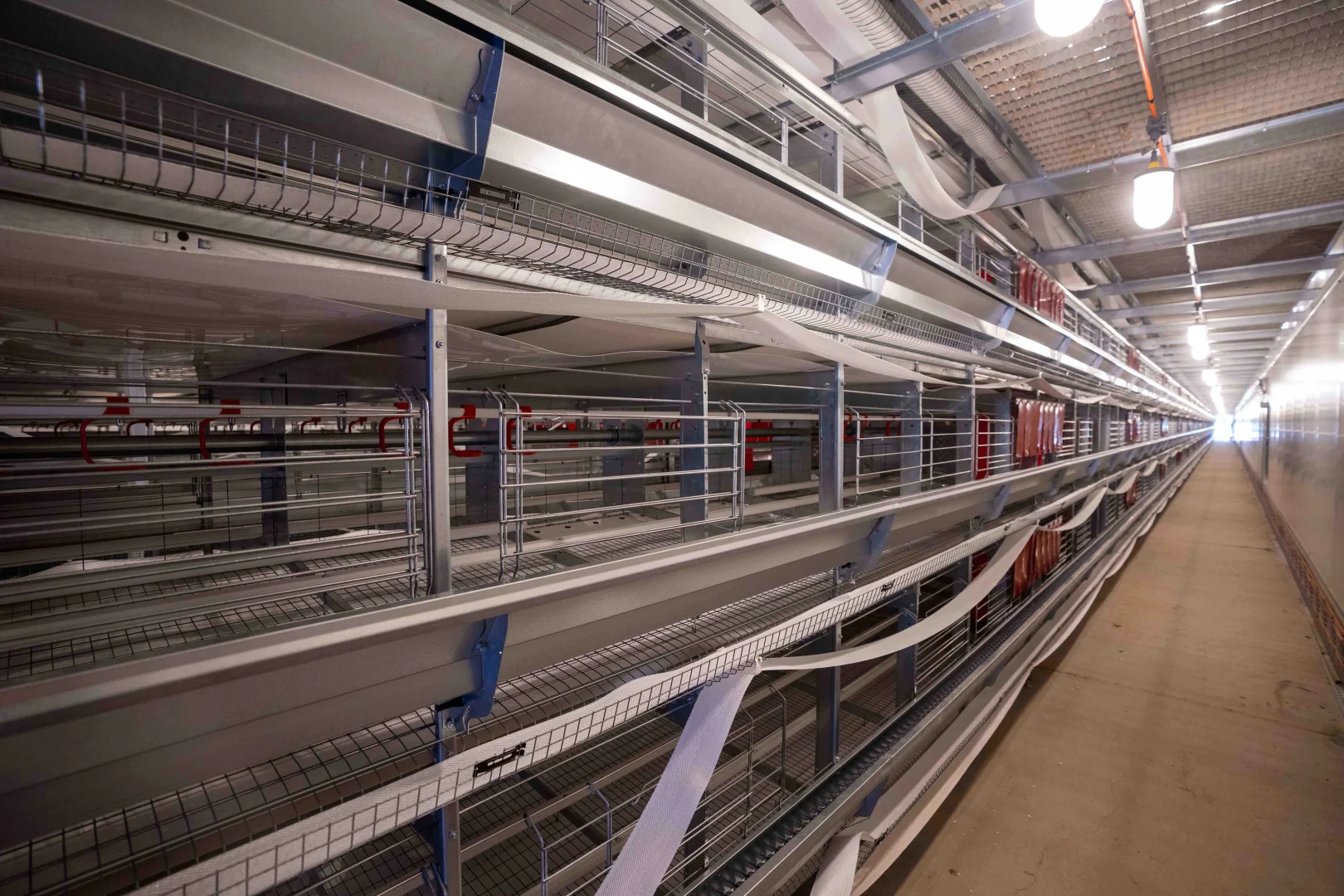 Additional image 8 of Gumlow QLD 4815