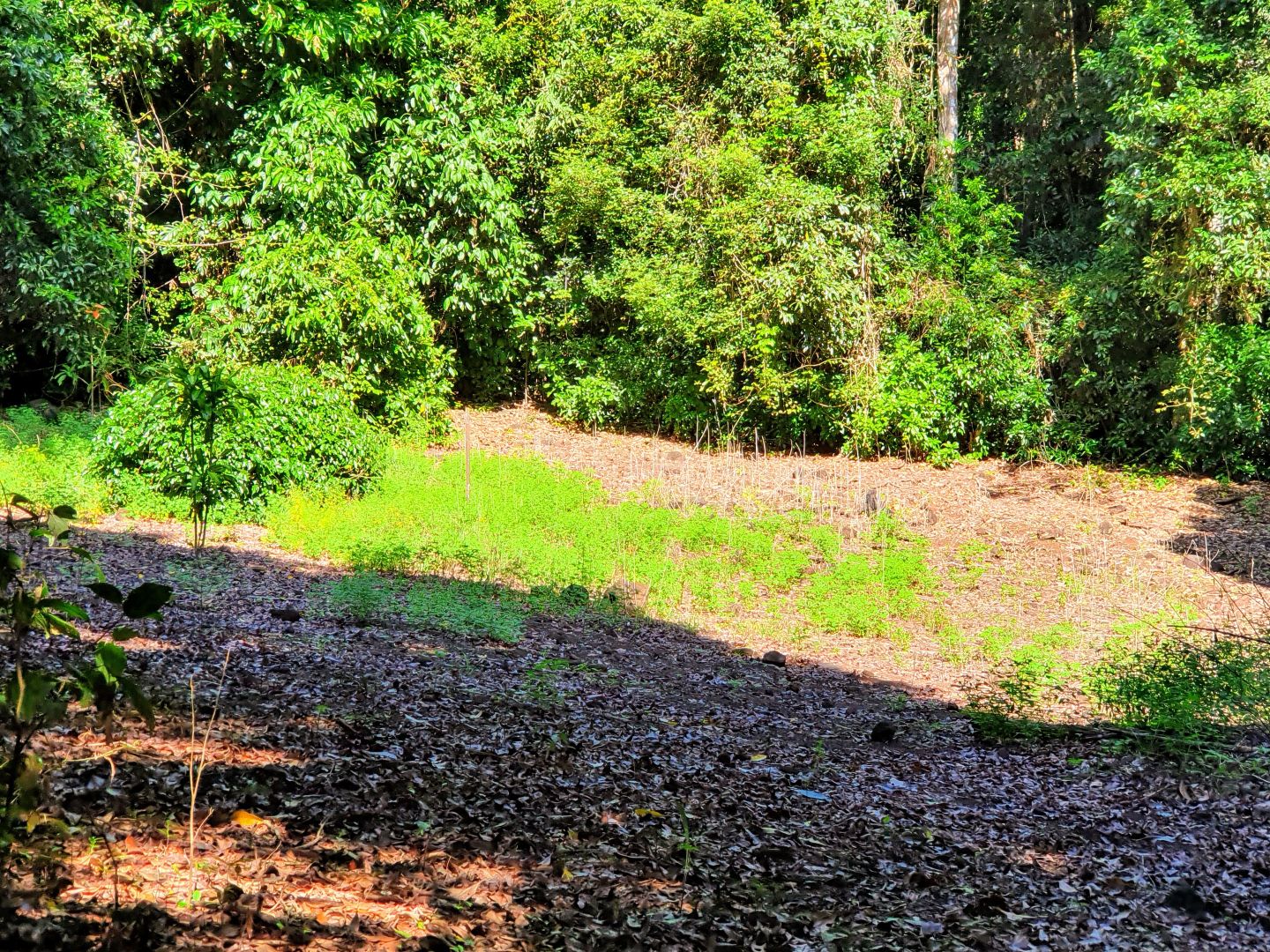 2729 Pannikin Street, Goldsborough Property History & Address Research Domain