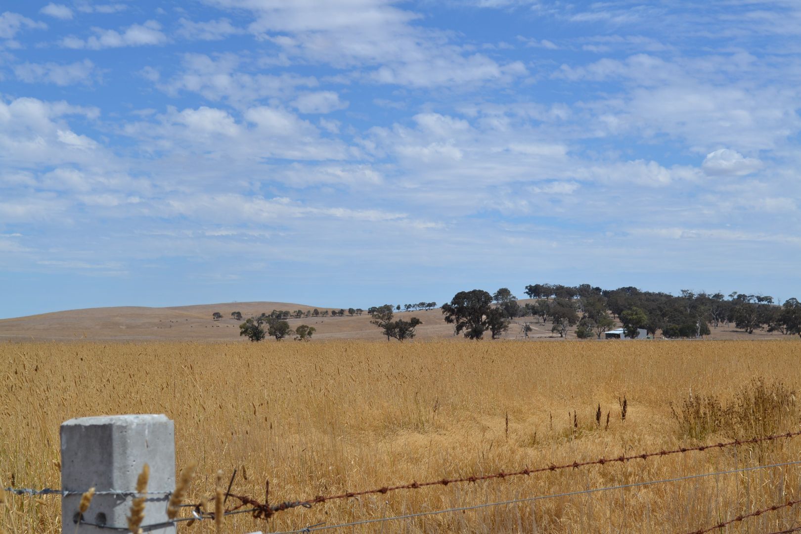 Lot 1 Eurambean Streatham Road, Beaufort VIC 3373, Image 1