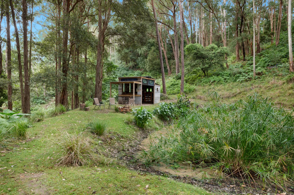Image 15