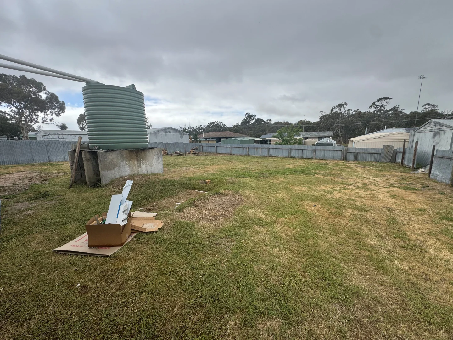 Image 12