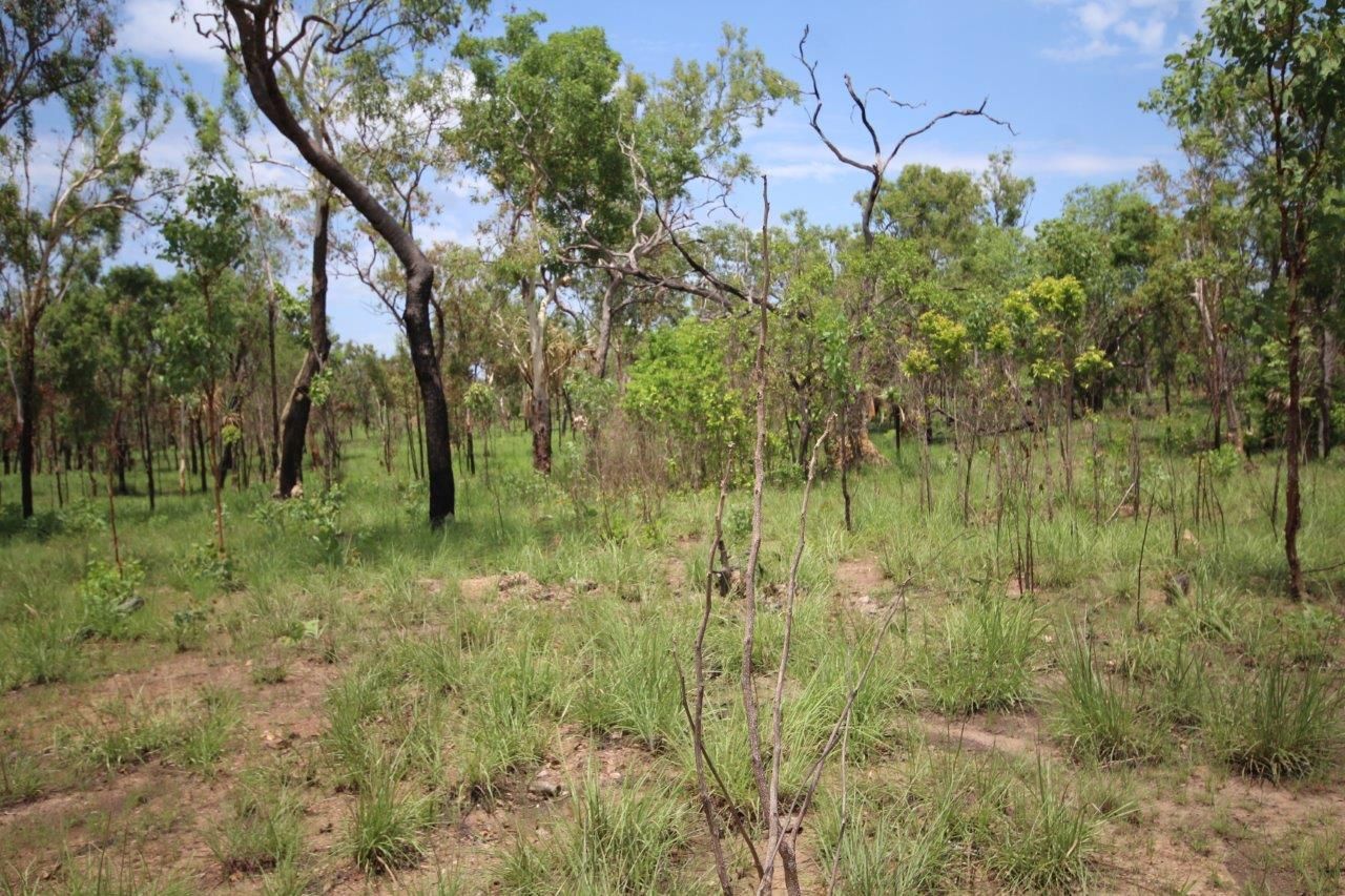 Adelaide River NT 0846 Vacant Land for Sale Domain