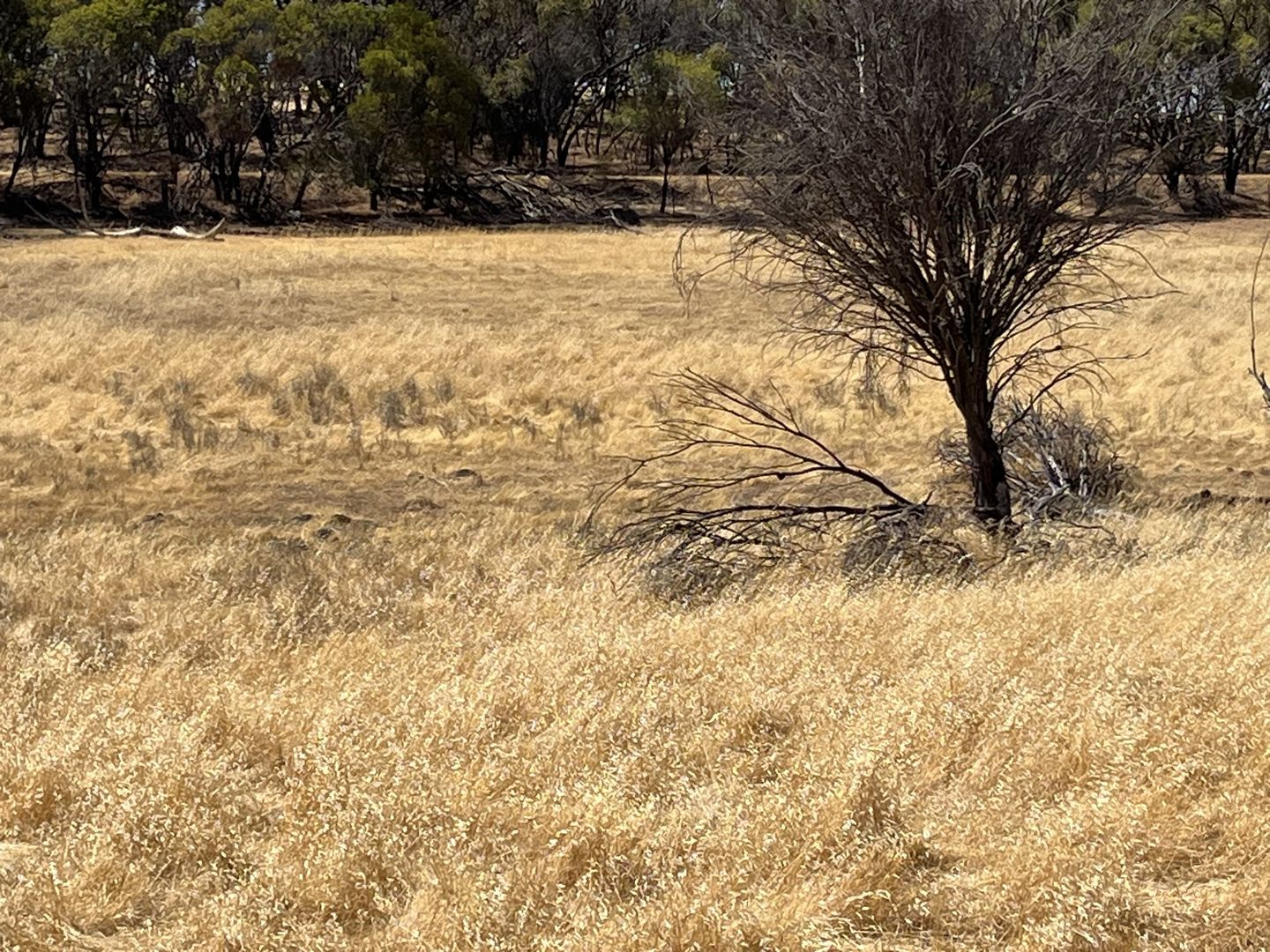 Lot 15 Eadine Road, Clackline WA 6564, Image 2