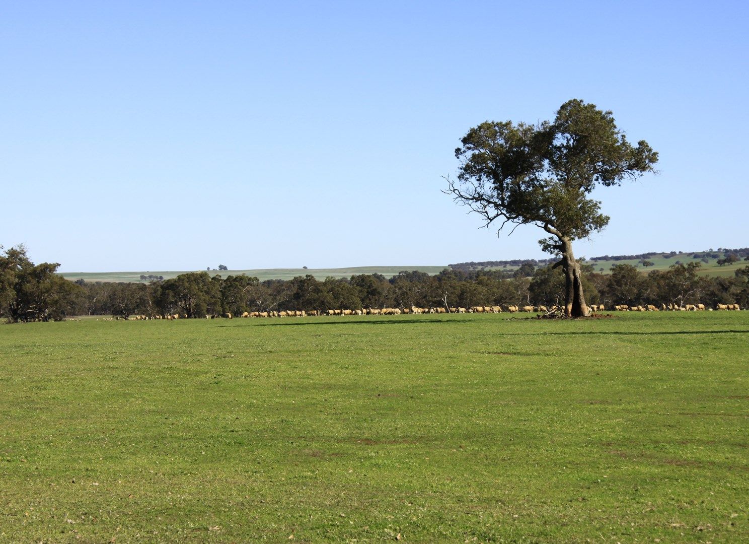 . ''Yathroo'', Dandaragan WA 6507, Image 0