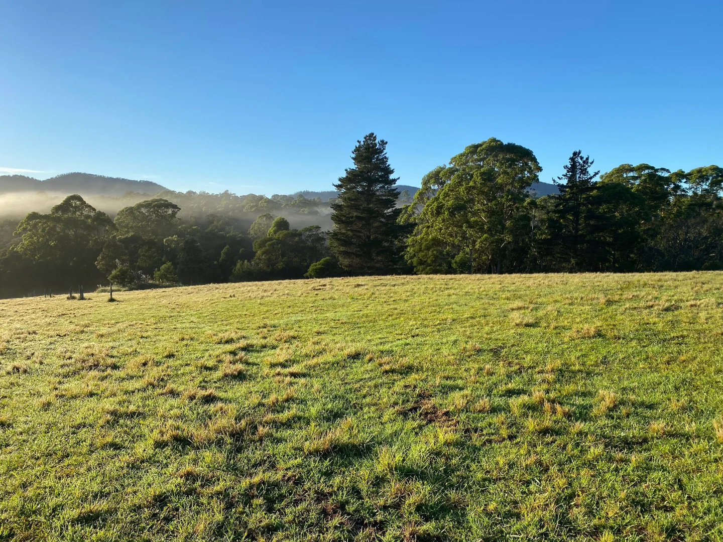 Additional image 8 of 94 Israels Road, Verona NSW 2550