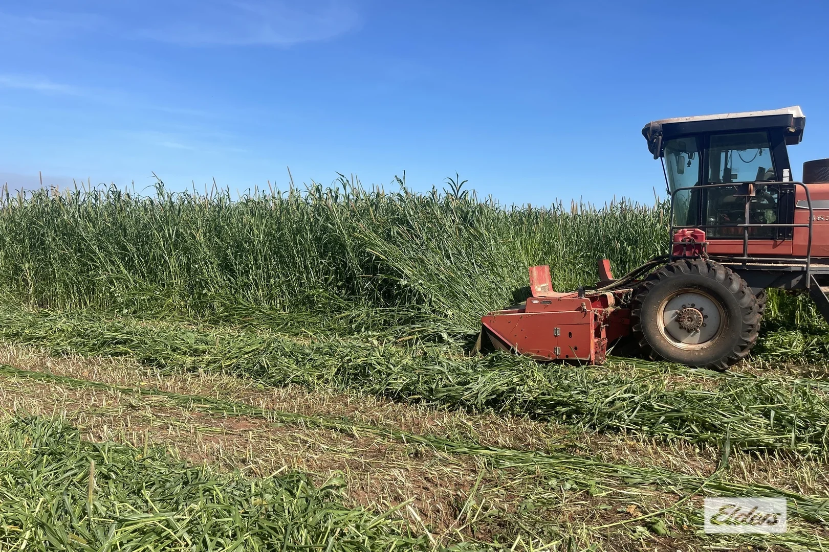 Additional image 18 of 2170 Edith Farms Road, Katherine NT 0850