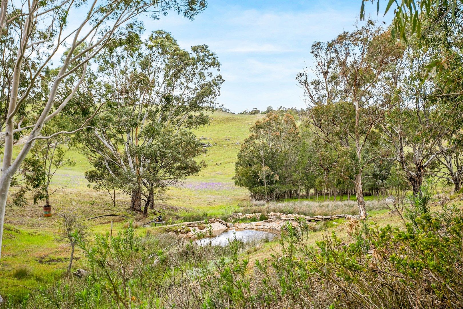 1390 Randell Road, Palmer SA 5237, Image 0