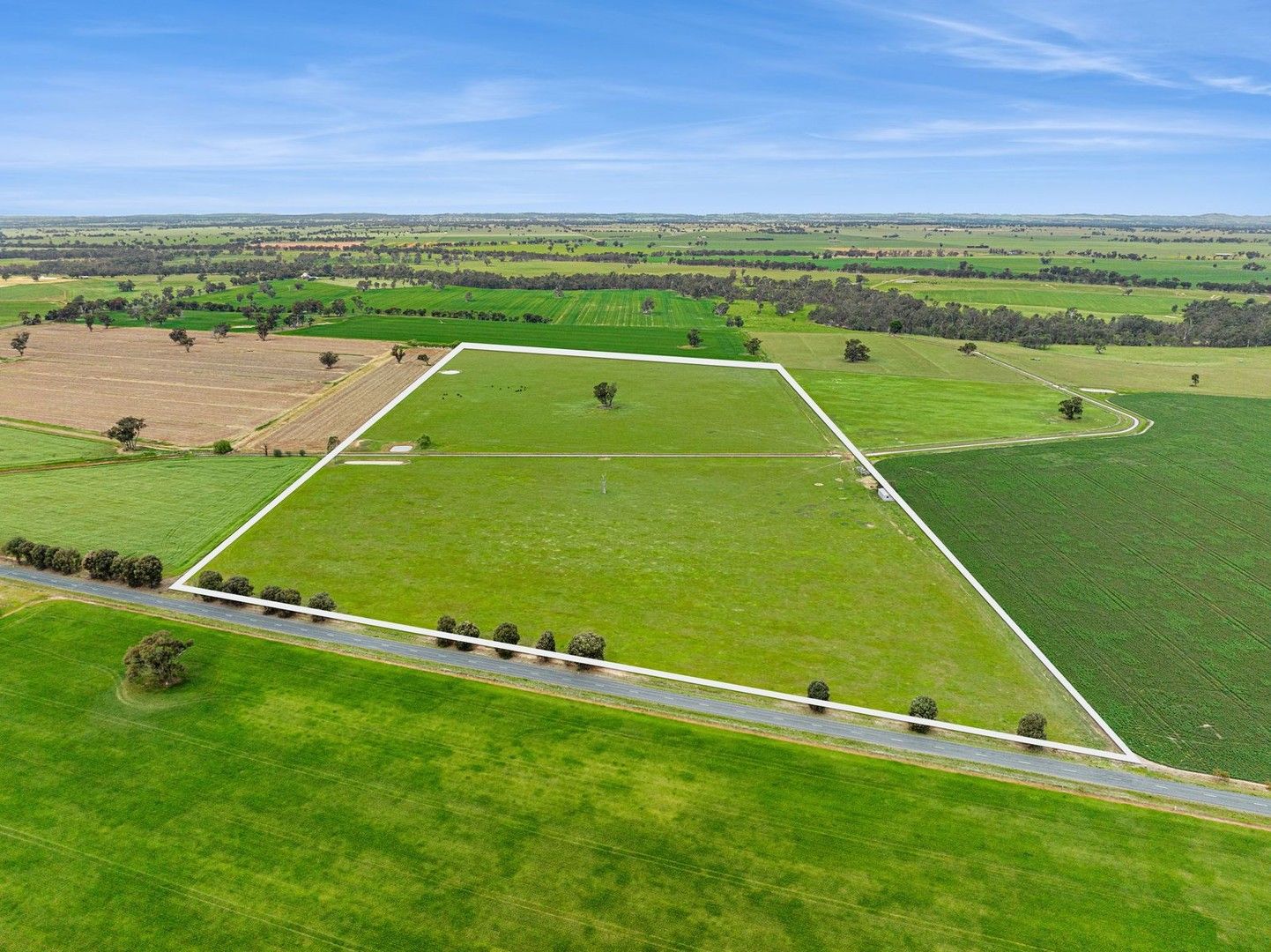 Vacant land in Lot 11 Elmore-Barnadown Road, GOORNONG VIC, 3557