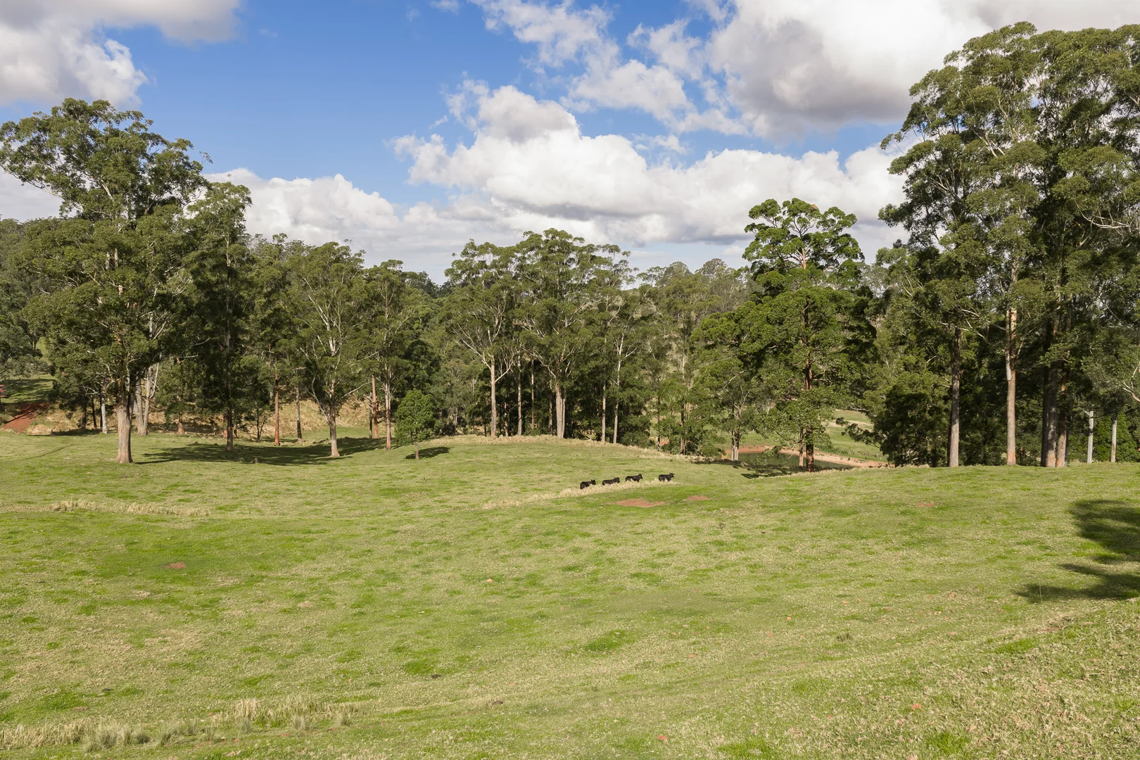 Image 13