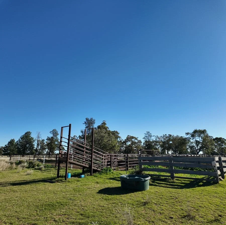 Image 10
