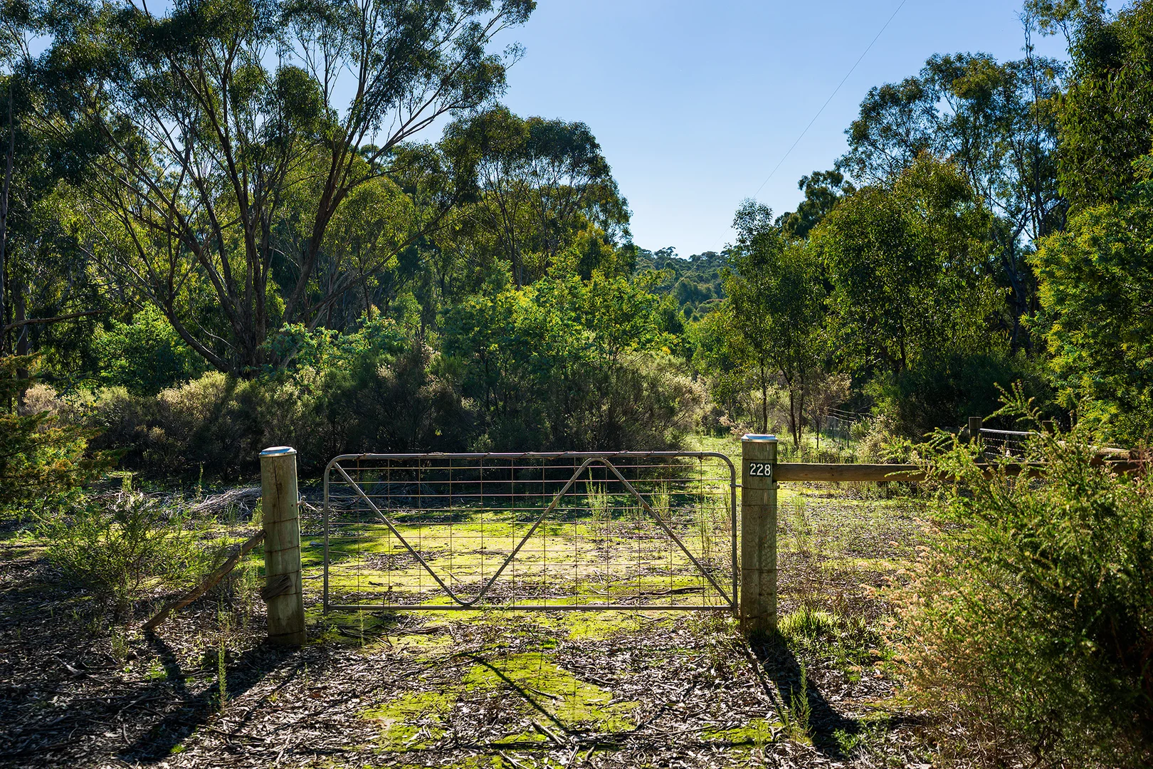 Image 15