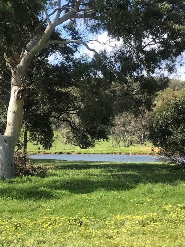 Lot 205 Nanga Brook rd, Waroona WA 6215, Image 1