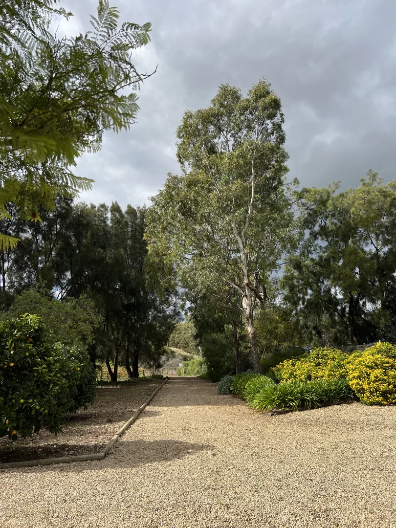 Image 19
