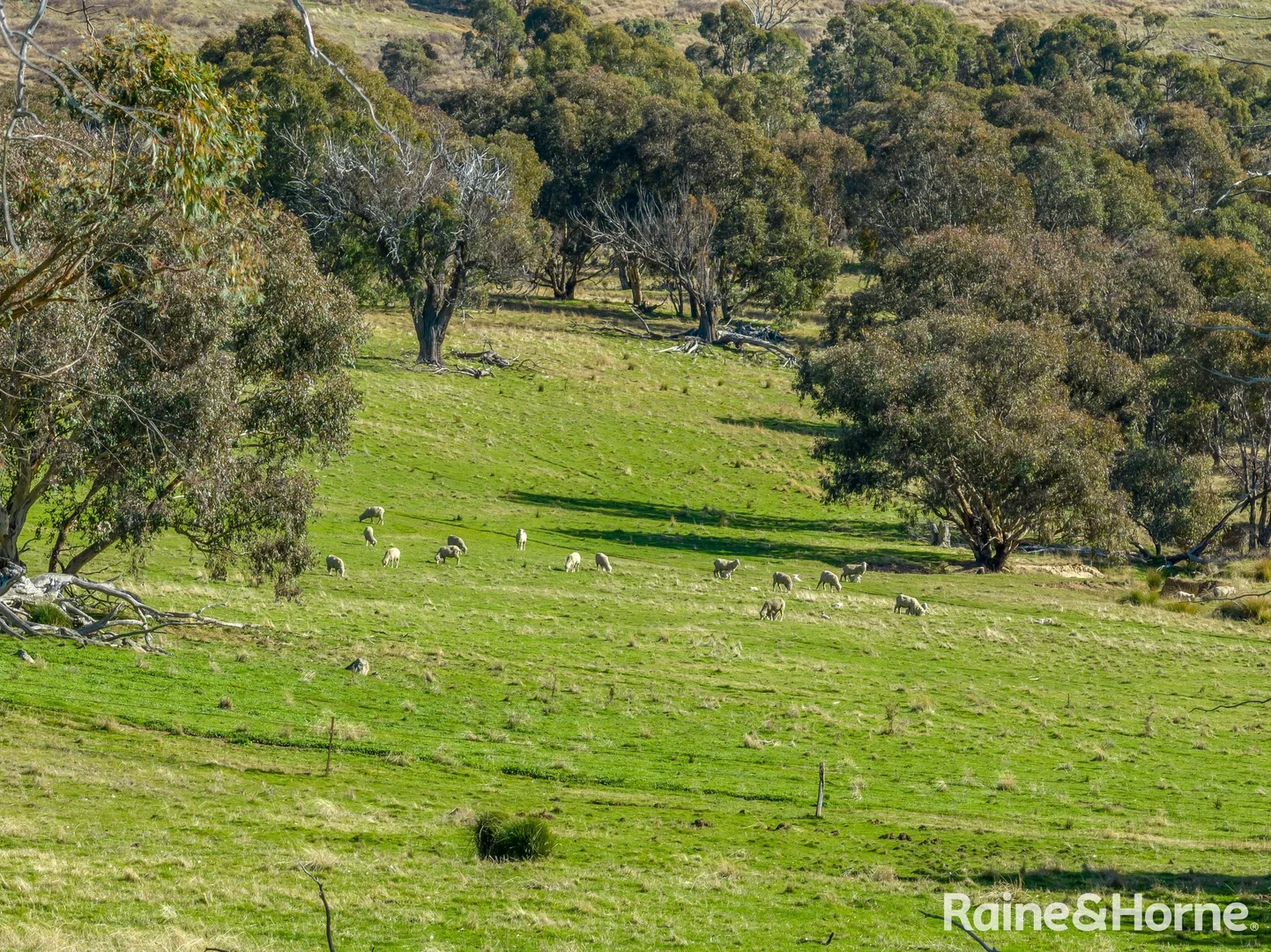 Image 13