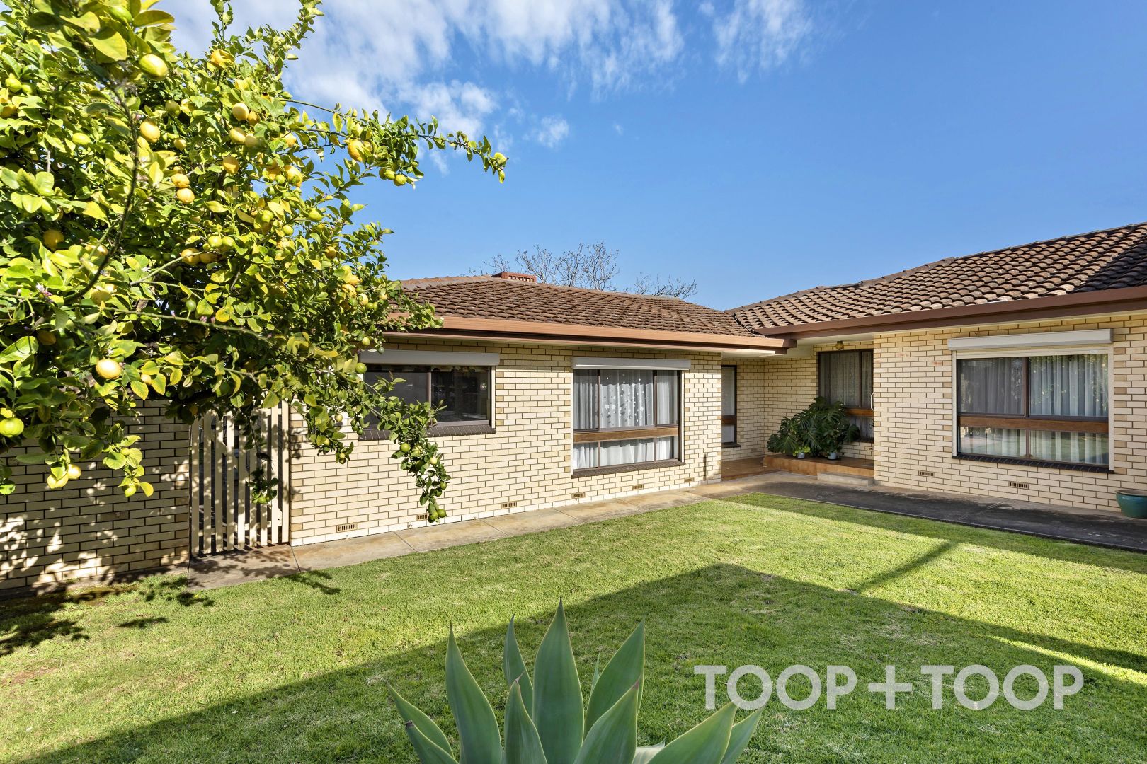 3/3 Frank Street, St Morris SA 5068, Image 1