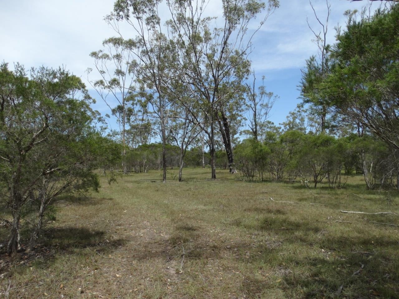 Lot 23 Dale Drive, Rules Beach QLD 4674, Image 1