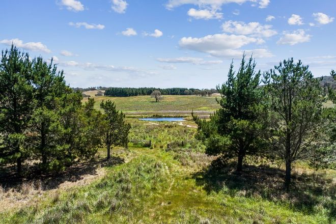 Picture of Lot 155 Berrebangelo Lane, GUNNING NSW 2581