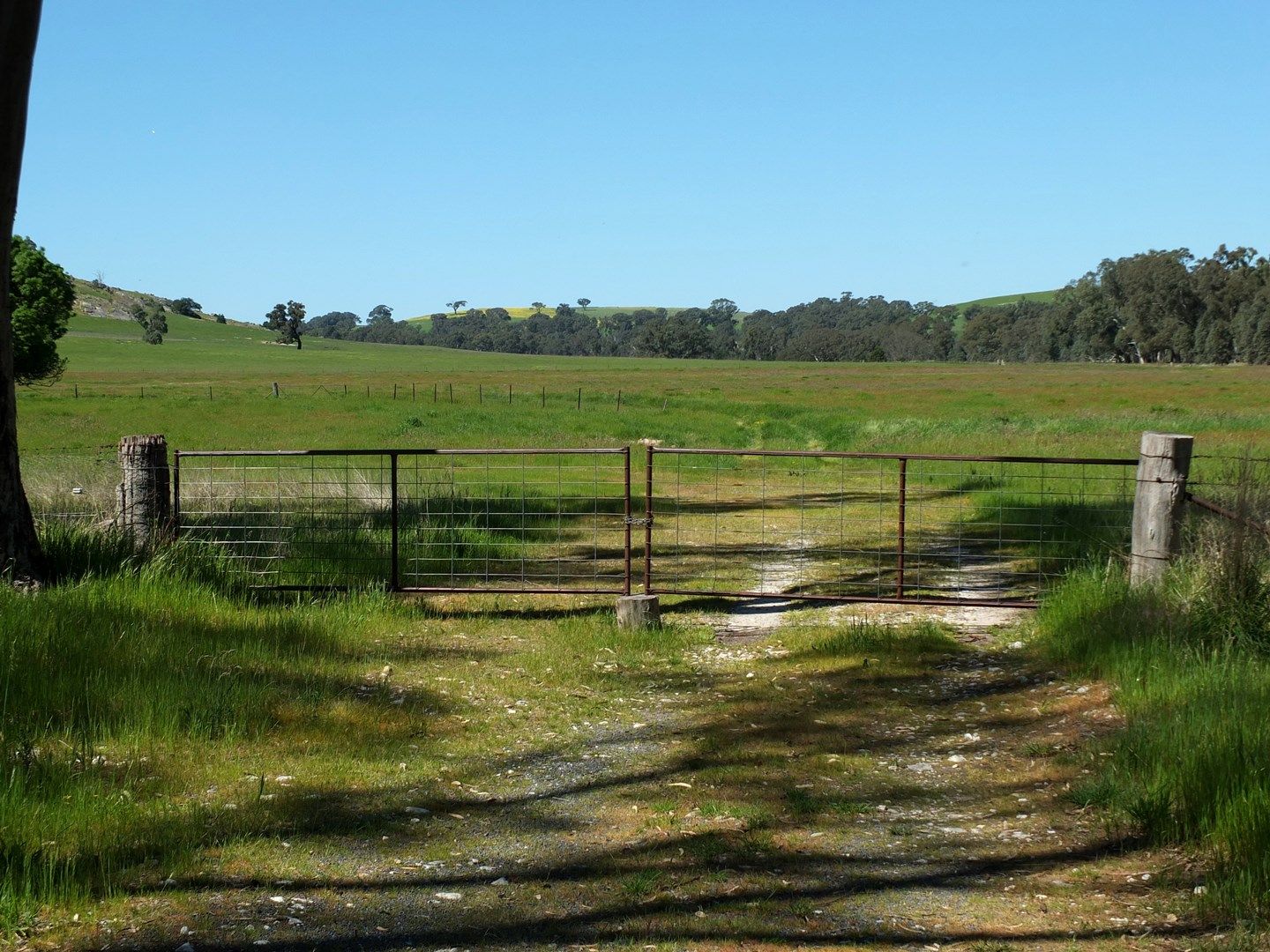 CA33 Pyrenees Hwy, Elmhurst VIC 3469, Image 0