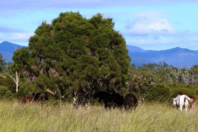 Picture of Lot 7 Rosewood–Warrill View Road, LOWER MOUNT WALKER QLD 4340