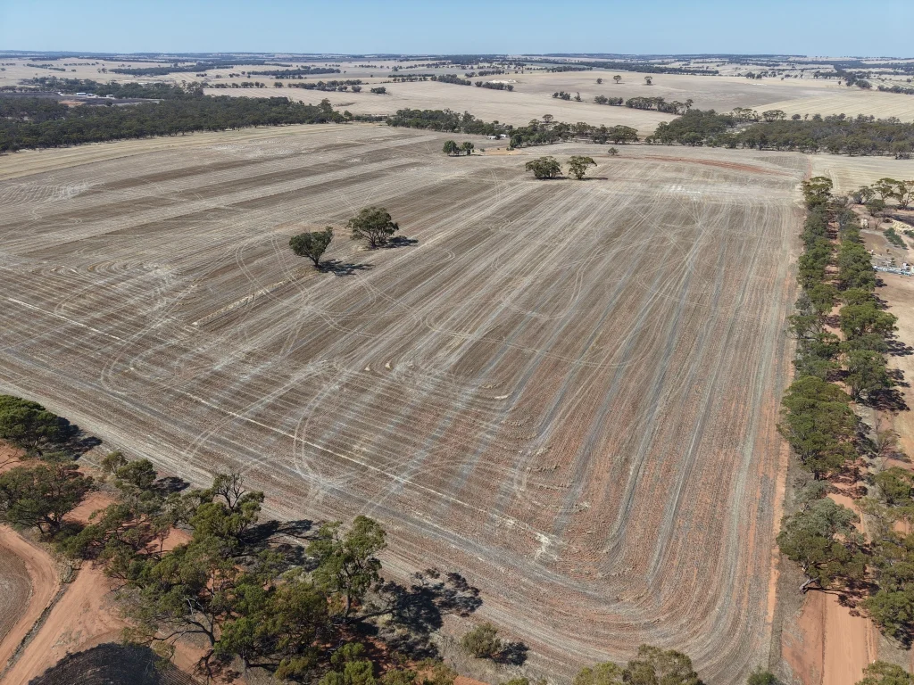 Additional image 5 of 75 Rickeys Road, East Beverley WA 6304