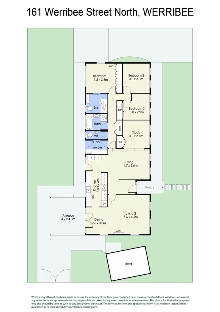 Image 21