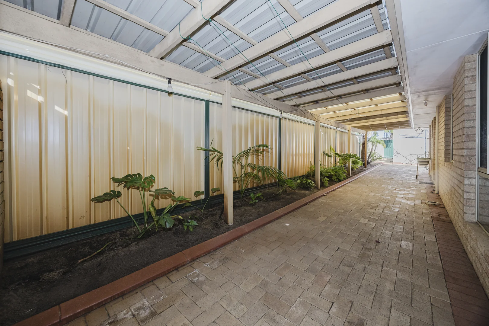 Image 29