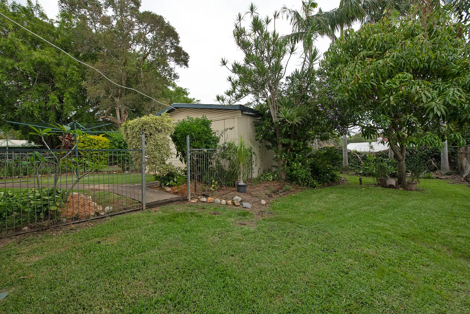 Image 20