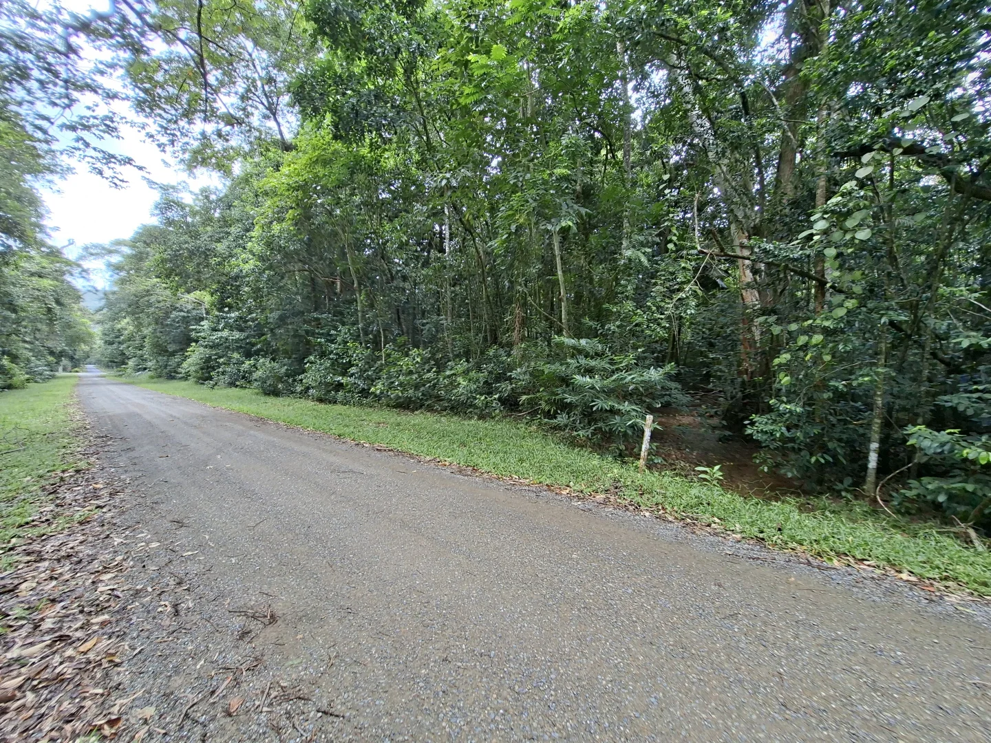 Additional image 3 of Lot 140 Quandong Road, Cow Bay, Daintree QLD 4873