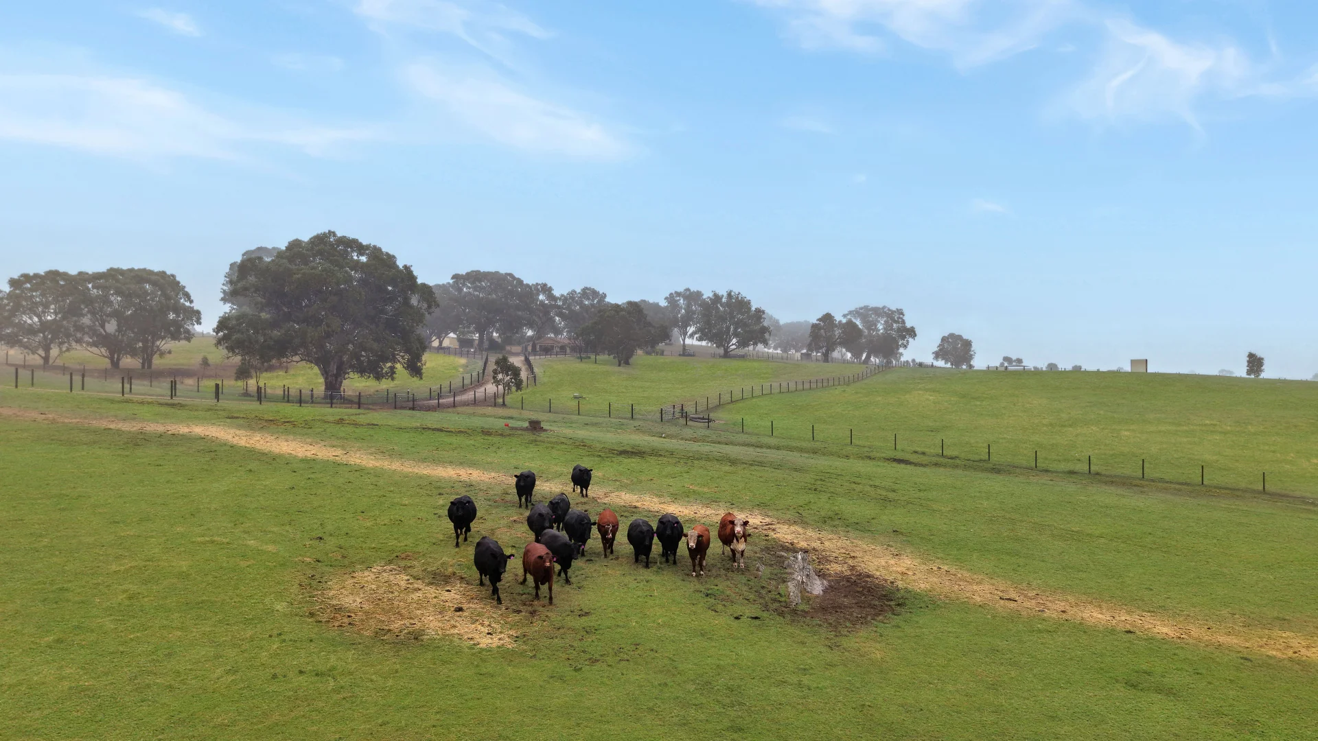 Additional image 17 of 397 Cookes Road, Springton SA 5235