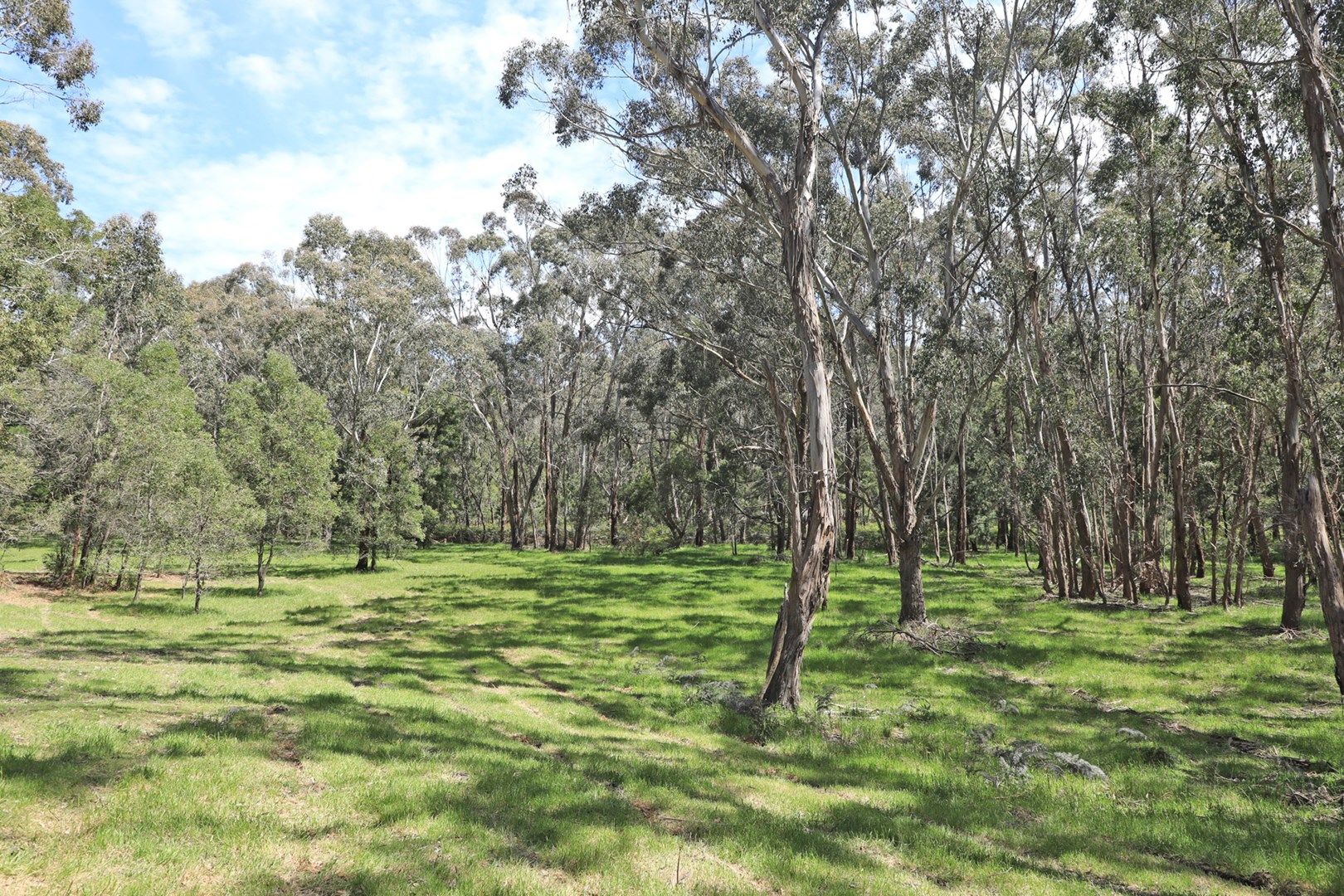 Lot 10 Slatey Creek Road, Woodend VIC 3442, Image 0