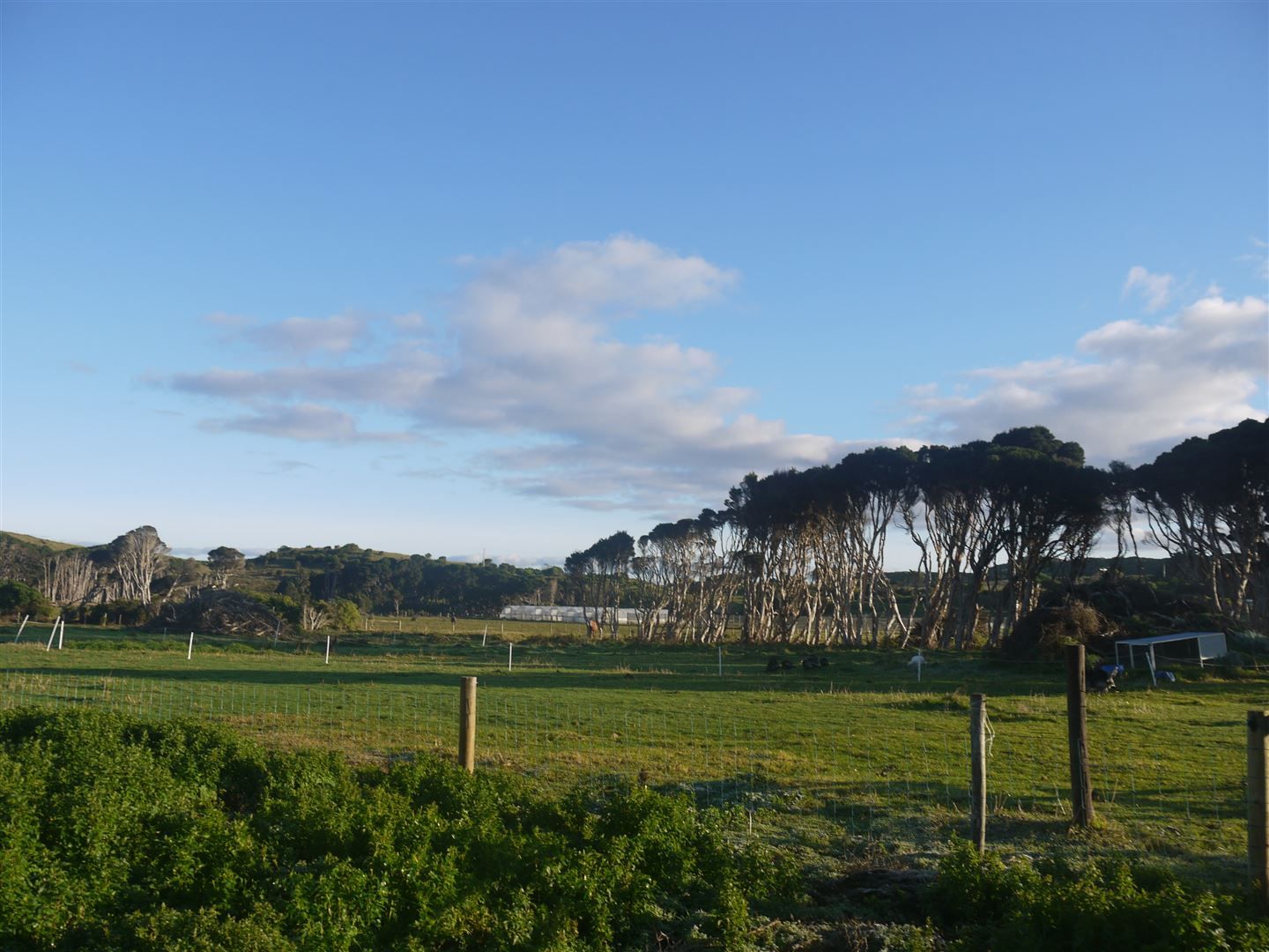 Lot 1 Stephenson Street, Currie TAS 7256, Image 0