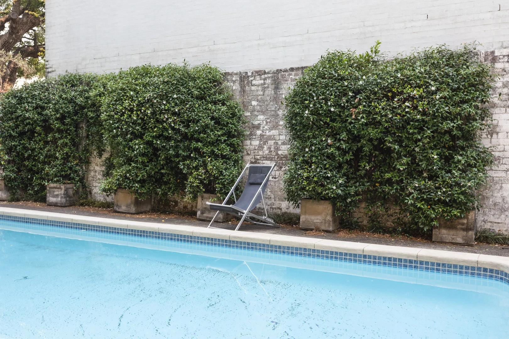 Additional image 18 of 23/77-85 Hereford Street, Forest Lodge NSW 2037