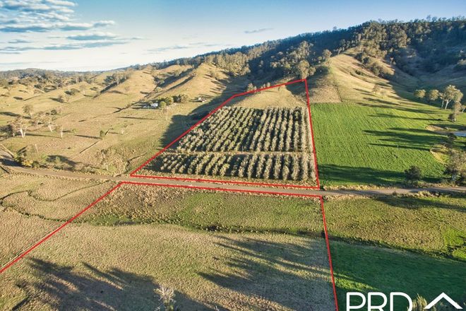 Picture of Lot 11 Eden Creek Road, UPPER EDEN CREEK NSW 2474