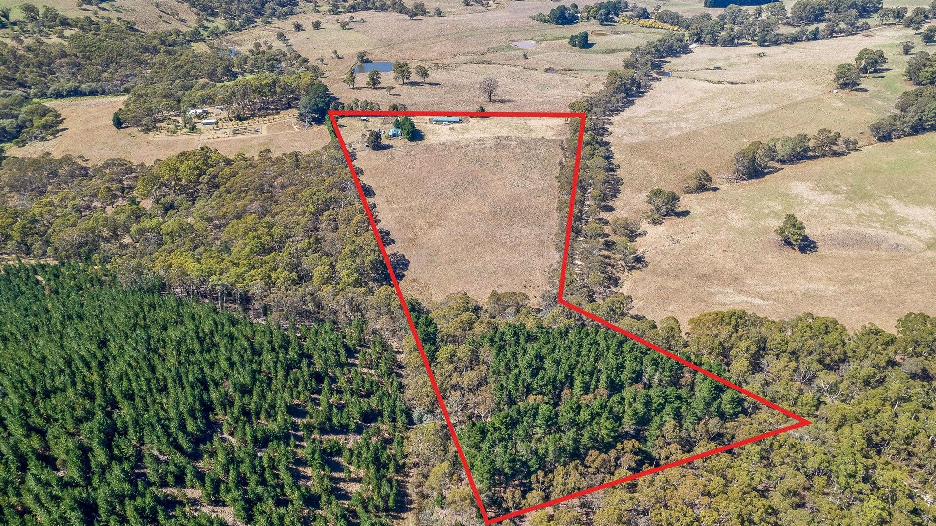 Rural in 275 Chatham Valley Road, CHATHAM VALLEY NSW, 2787