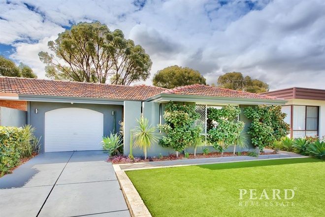 515 3 Bedroom Houses For Sale In Balcatta Wa 6021 Domain