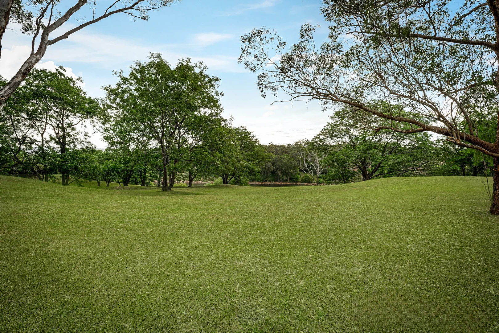 Image 14