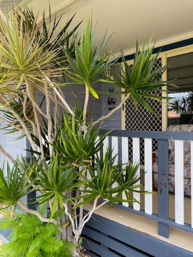 2 bedrooms House in 094/171 David Low Way BLI BLI QLD, 4560