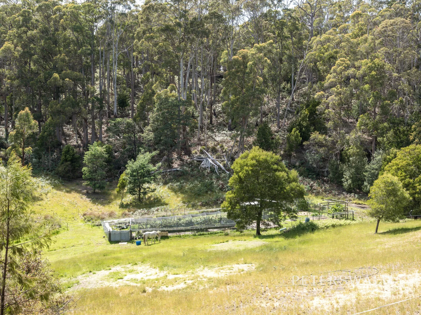 Image 36