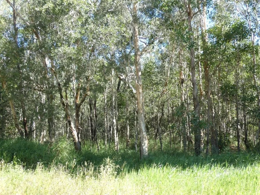 Additional image 20 of 960 Pacific Drive, Deepwater QLD 4674