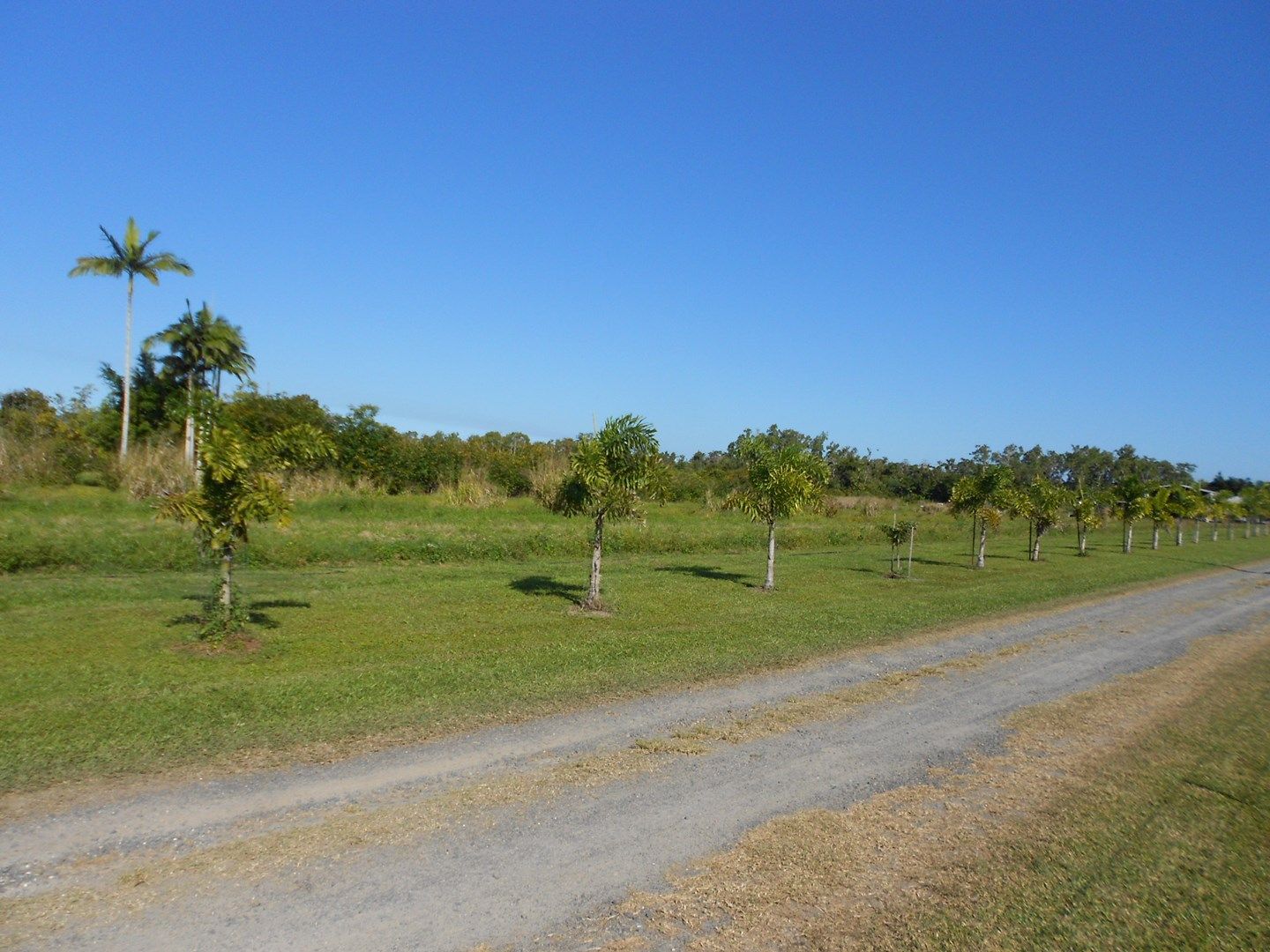 Lot 11 LOUIS Rd, South Innisfail QLD 4860, Image 0