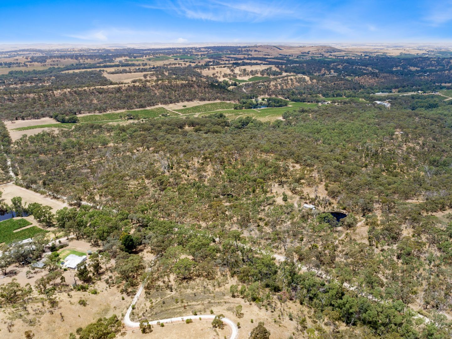 Lot 141 Saw Mill Road, Sevenhill SA 5453, Image 2