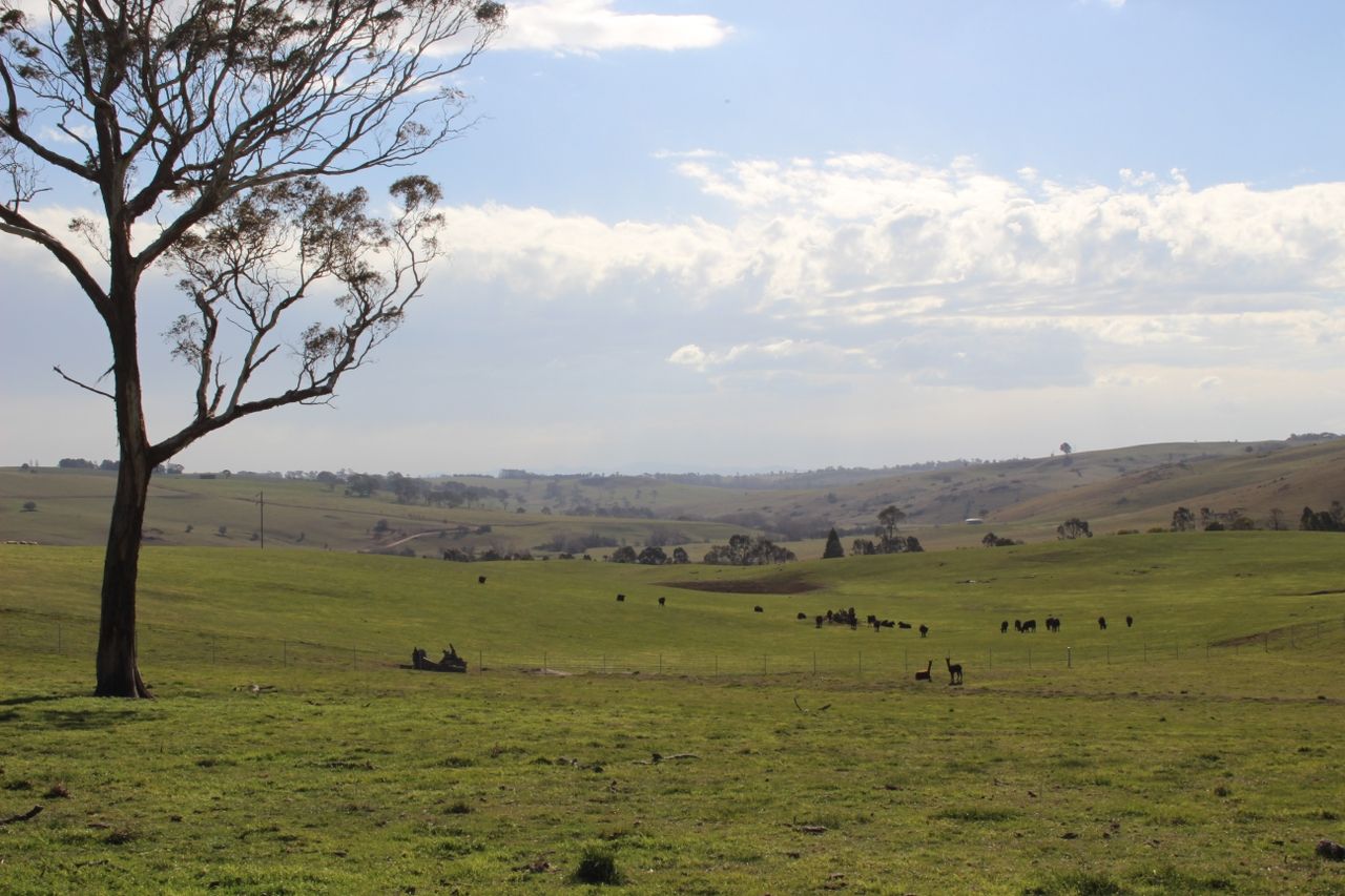 Lot 207 Browns Creek Road, Blayney NSW 2799, Image 0