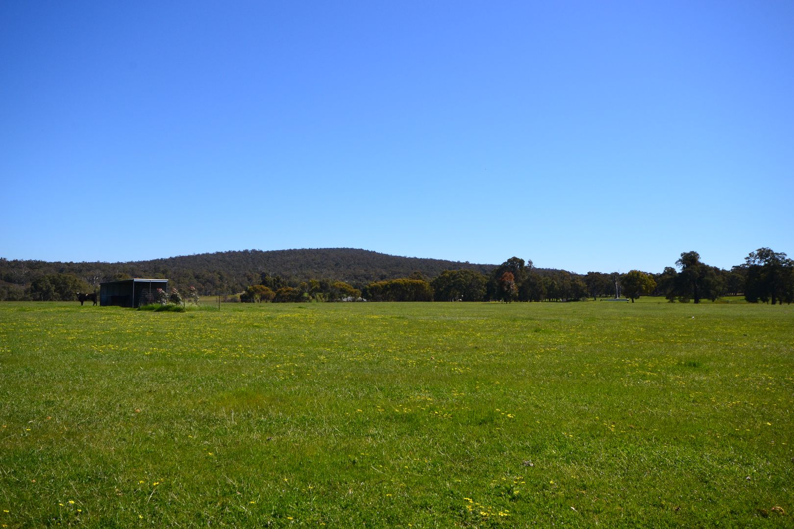 39 Cook Road, Bakers Hill WA