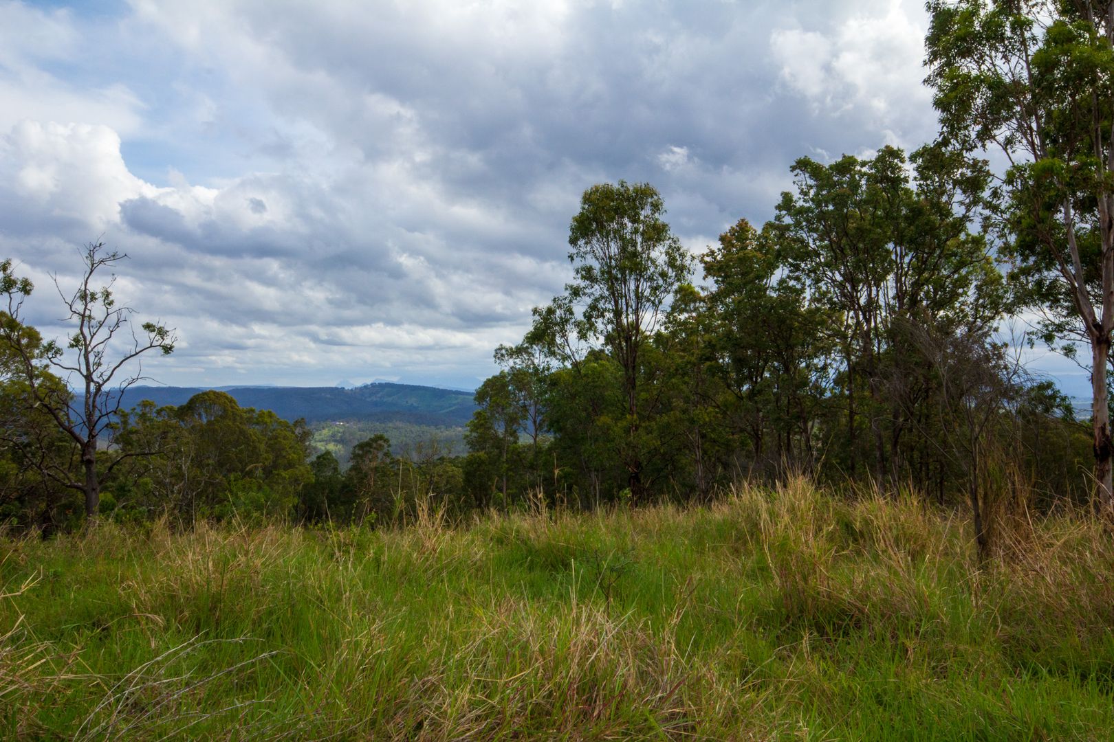 Peak Crossing QLD 4306, Image 2