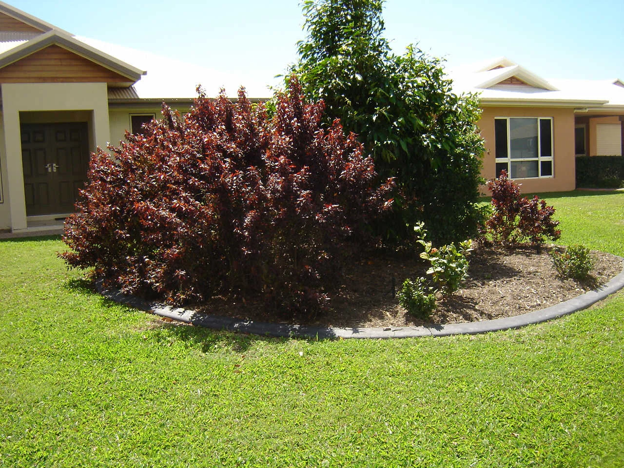 Primary image of Idalia QLD 4811