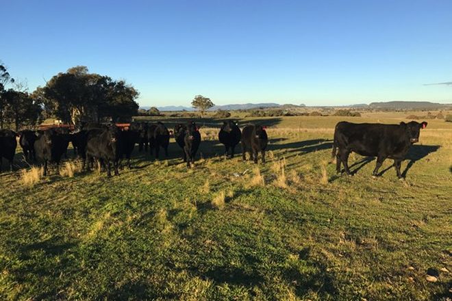 Picture of 2162 Aarons Pass Rd, AARONS PASS NSW 2850