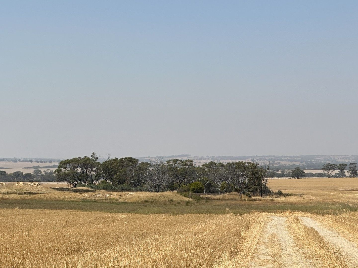 Lot 10 Hills Road, Cunderdin WA 6407, Image 0